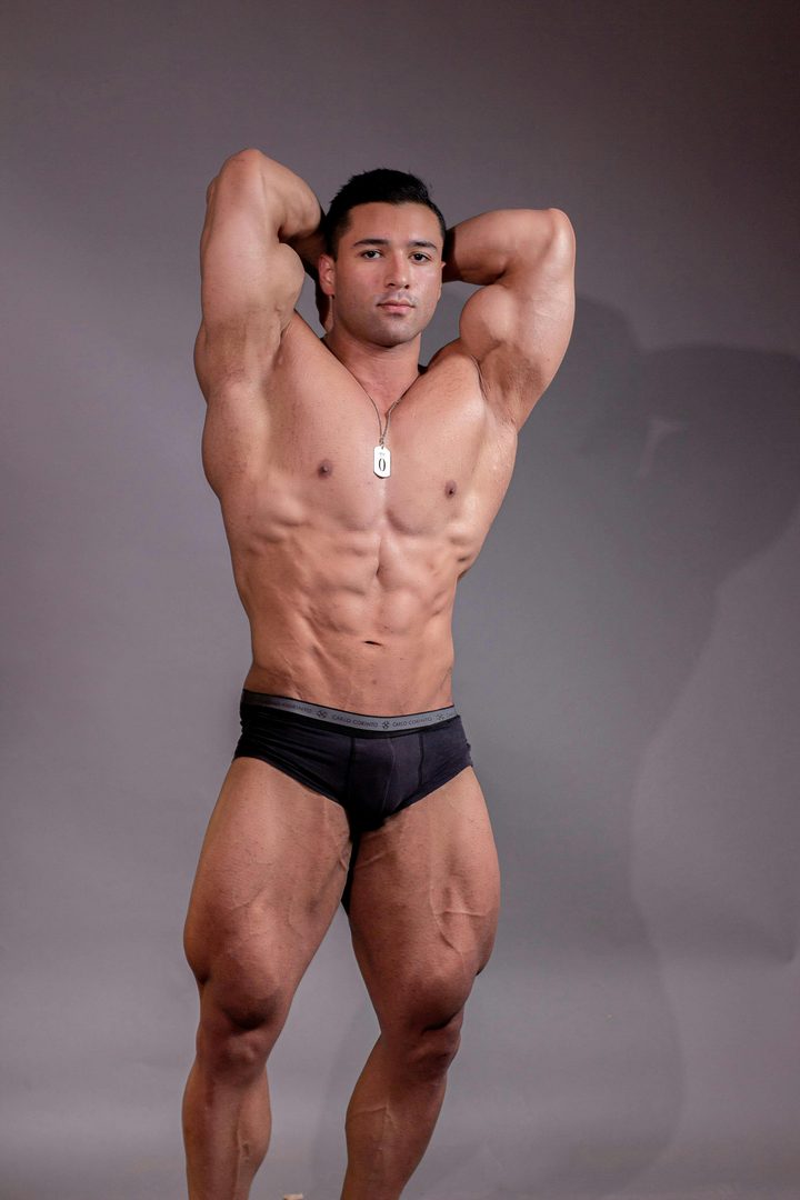 Alpha physique